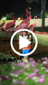 BIB:  <button type="button" onclick="openModal(27589885)" class="btn btn-primary btn-sm float-right" data-toggle="modal" data-target=".modal-high-quality">
                <i class="fa fa-download"></i> Download
                </button>